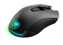 Cougar Revenger